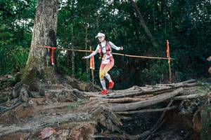 BIB: 
                            <button type="button" onclick="openModal(27316575)" class="btn btn-primary btn-sm float-right btn-popup" data-toggle="modal" data-target=".modal-high-quality">
                        <i class="fas fa-shopping-cart"></i> Add to Cart
                    </button>
                                            <button type="button" onclick="isThisMe(27316575, true)" class="btn btn-success btn-sm float-right btn-popup btn-isme hidden" data-toggle="tooltip" data-placement="bottom" title="นี่คือรูปของคุณใช่ไหม คลิกที่นี่เพื่อเอาเข้าอัลบั้ม">
                        <i class="fas fa-plus"></i> Add to album
                    </button>
                    <button type="button" onclick="isThisMe(27316575, false)" class="btn btn-warning btn-sm float-right btn-popup btn-isnotme hidden">
                        <i class="fas fa-ban"></i> Remove from album
                    </button>